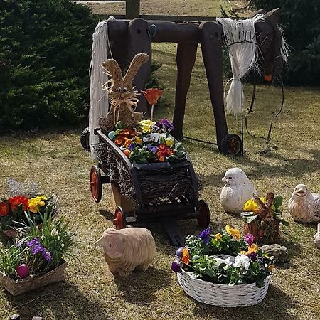 Urlaubsscheune Niedergorsdorf Zewnętrze zdjęcie