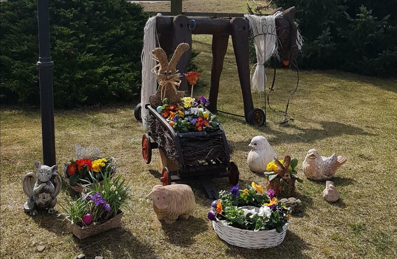 Urlaubsscheune Niedergorsdorf Zewnętrze zdjęcie